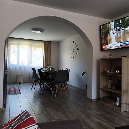 Апартаменты Casa Cerbului Вишеу-де-Сус Экстерьер фото